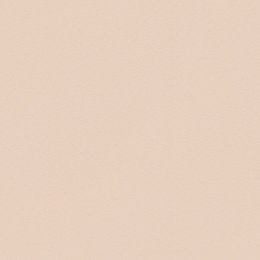 Рулонные шторы классика LVT АЛЬФА BLACK-OUT 2746 т.бежевый 250cm