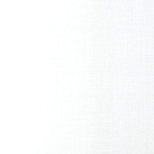 Рулонные шторы классика LVT СКРИН 5% ALU 0225 белый, 250 см